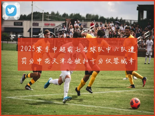 2025赛季中超前七名球队中六队遭罚分申花天津各被扣十分仅蓉城幸免