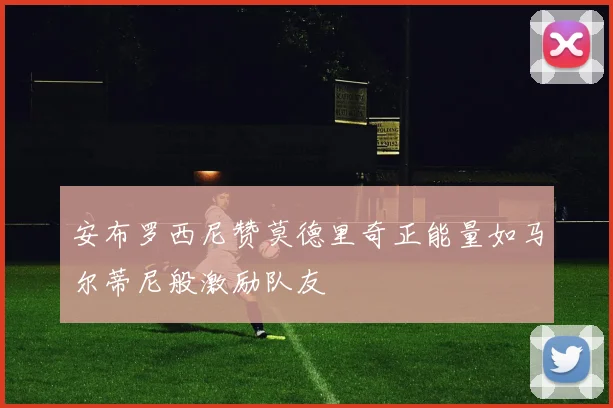 安布罗西尼赞莫德里奇正能量如马尔蒂尼般激励队友