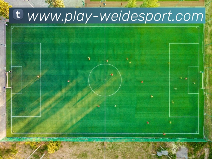 伟德体育平台生态图